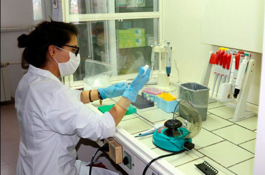 Armenia’s Institute of Molecular Biology to produce 1,000-2,000 coronavirus tests daily