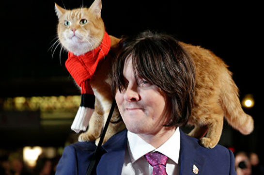 В Британии собирают деньги на памятник уличному коту по кличке Боб