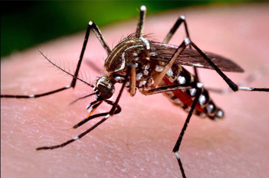 В Лаосе число заразившихся лихорадкой денге превысило 2,6 тысячи