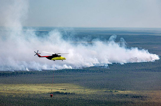 Площадь лесных пожаров в России за неделю выросла более чем вдвое