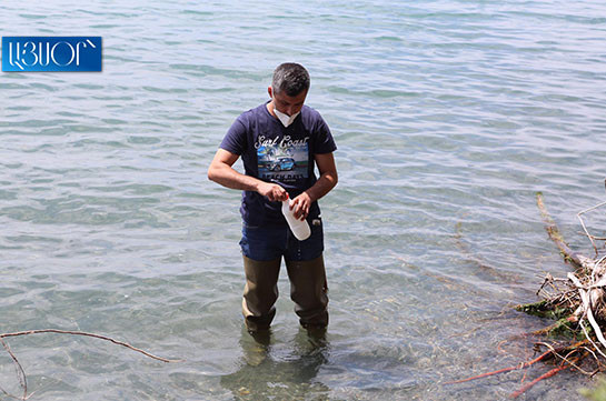 Urgent cleaning works necessary to save Lake Sevan: leader of environment initiative