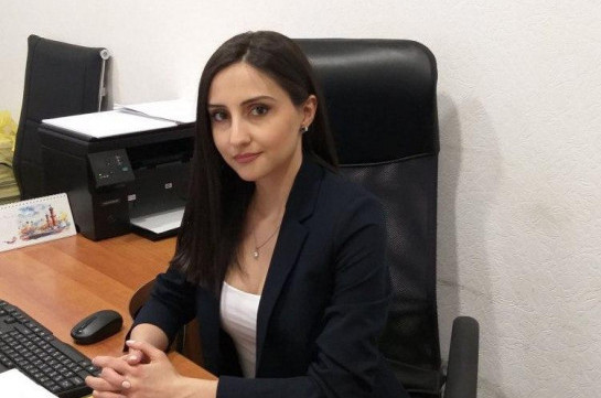 У официального Еревана нет реальной повестки и программы действий в работах с Диаспорой
