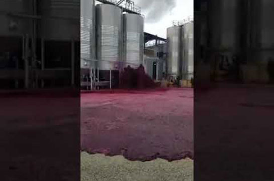 В Испании территорию завода затопило вином (Видео)