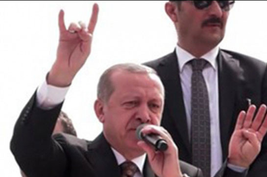 Турция пообещала Франции «жёсткий ответ» после запрета «Серых волков»