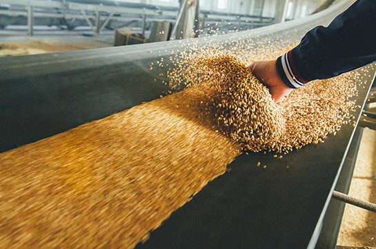 Мишустин подписал постановление о повышении пошлины на экспорт пшеницы