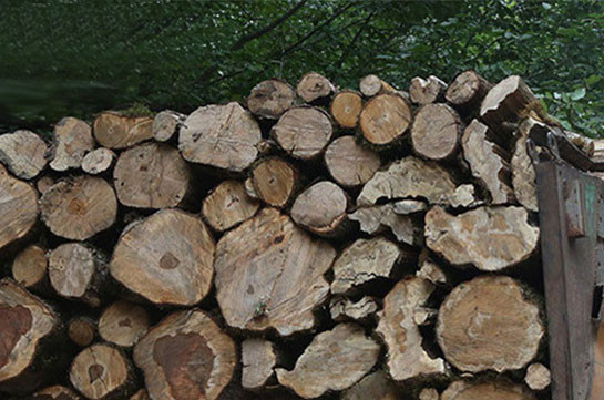 Տավուշի մարզում ապօրինի անտառահատումների հայտնաբերման դեպքերն ավելացել են