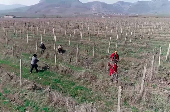 При содействии миротворцев в Нагорном Карабахе началось проведение сельскохозяйственных работ