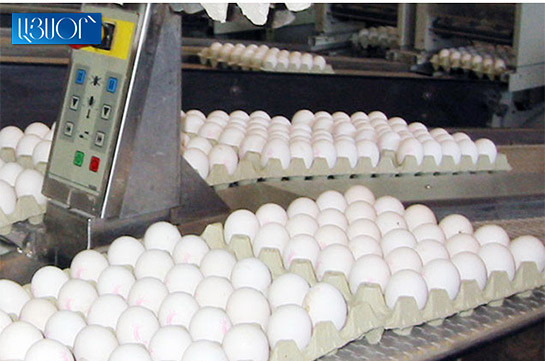 ГКЗЭК Армении возбудила административное производство в отношении крупных производителей яиц