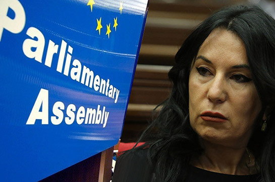 В политических группах Совета Европы началось обсуждение вопроса армянских пленных – Наира Зограбян