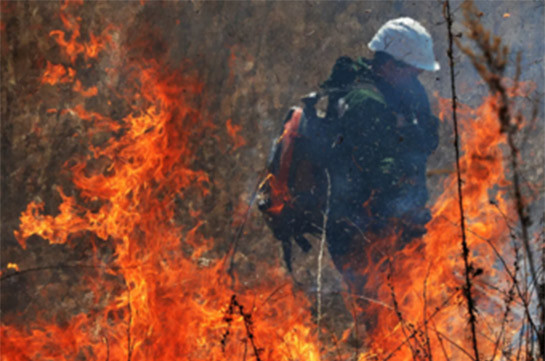 В Аризоне в ходе тушения лесных пожаров погибли двое спасателей