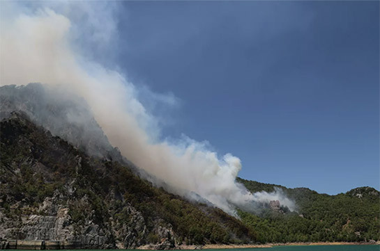Власти Турции заявили об улучшении ситуации с лесными пожарами