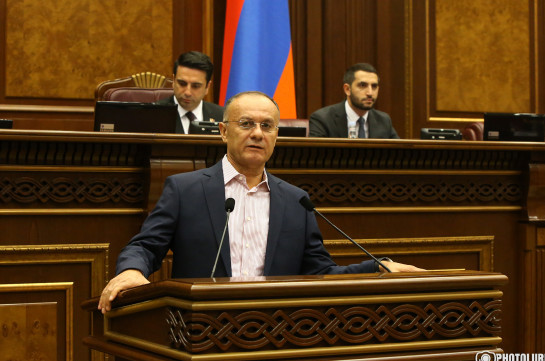 Поспешный процесс делимитации и демаркации очень опасен для Арцаха, и для Армении – Сейран Оганян