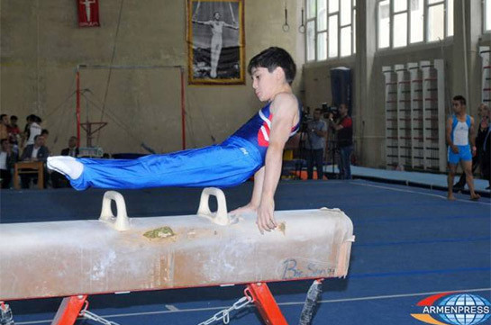 Строительство школы гимнастики в Ереване отложено