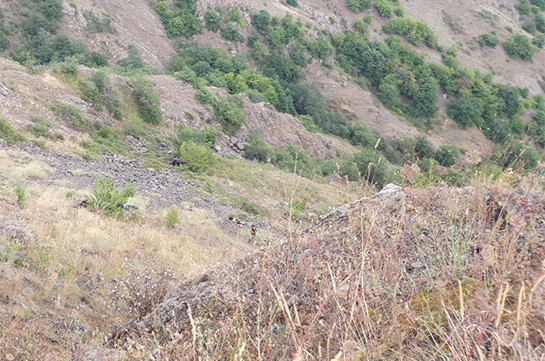 В Гадрутском районе обнаружены останки еще двух армянских военнослужащих