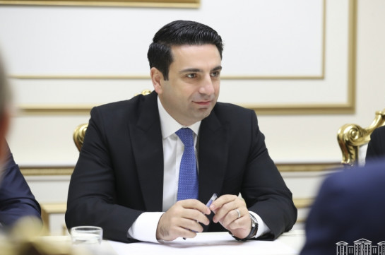 Ален Симонян принял представителей партнерских организаций программы «Укрепление избирательных процессов и политической подотчетности»