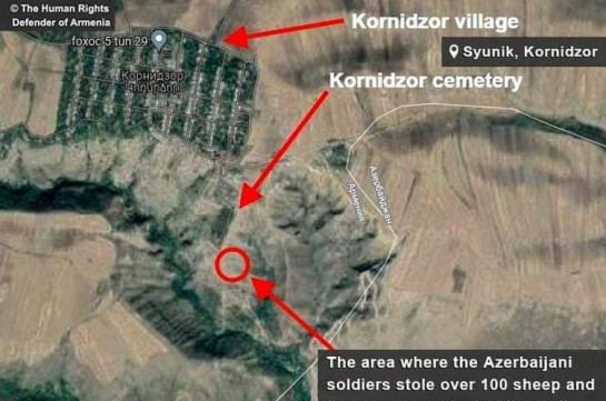 Սյունիքի Կոռնիձոր գյուղի հարակից տարածքից ադրբեջանցի զինծառայողները հափշտակել են բնակչին պատկանող 107 ոչխար և 5 այծ․ ՄԻՊ ահազանգը