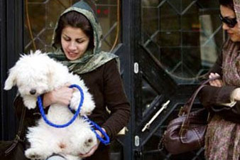 В Иране запретили рекламу товаров для животных – «грязных тварей»