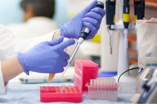 В Арцахе подтверждено 14 новых случаев заражения коронавирусом
