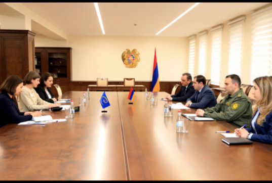 Сурен Папикян обсудил с главой офиса Совета Европы ход реализации программы «Права человека и женщины в Вооруженных силах Армении»
