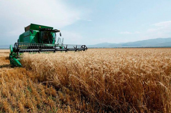 С территории Республики Арцах запрещен вывоз пшеницы и ячменя