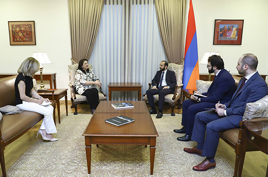 Арарат Мирзоян высоко оценил деятельность ВОЗ в Армении