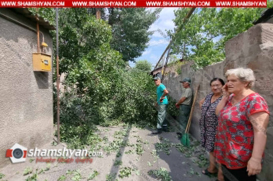 Երևանում հաստաբուն ծառից մի հատված պոկվել և վնասել է գազախողովակներն ու էլեկտրալարերը