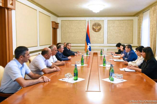 Президент Арцаха принял делегацию Национальной академии наук Армении