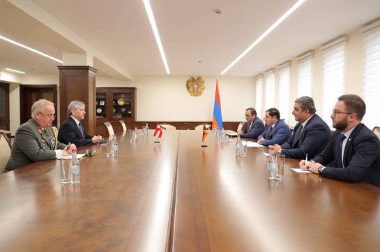Развитие сотрудничества в сфере обороны обсудили глава Минобороны Армении и посол Австрии