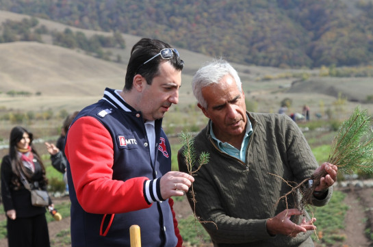 Partnership to increase forest cover in Armenia and fight against desertification