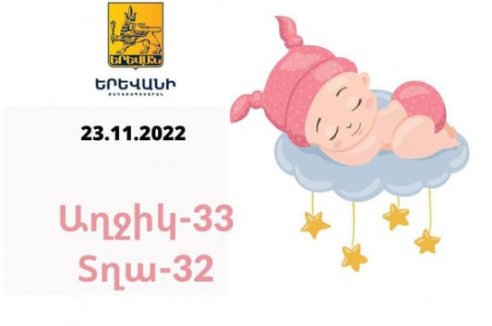 В Ереване 23 ноября родились 65 малышей