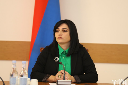 Тагуи Товмасян: Порядка 350 больных арцахцев не могут получить надлежащую медицинскую помощь в Ереване из-за блокады Азербайджана