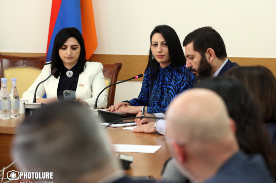 Кандидатура замгенпрокурора Анаит Манасян утверждена на пост омбудсмена Армении