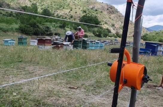 Շարժական «էլեկտրական հովիվները» Եղեգիս համայնքում խոչընդոտ են դարձել արջերի համար