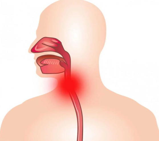 Խռպոտ ձայնը կարող է լինել մարսողական օրգանների հիվանդության նշան
