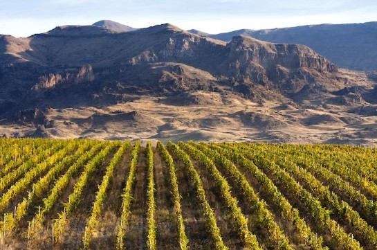 Forbes: исследуя армянское вино