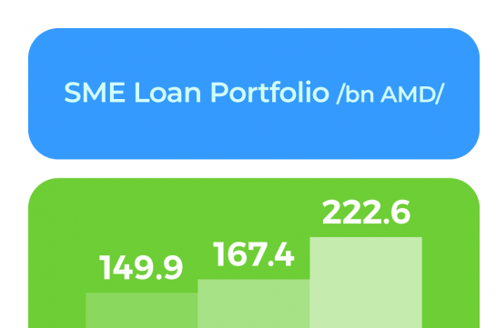 In 2023, the SME Loan Portfolio of Ameriabank Reported More Than 30% Growth