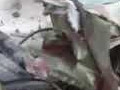 Кадры уничтоженного азербайджанского беспилотника